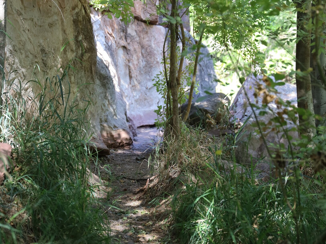 Coconino National Forest-弗拉格斯塔夫必去景点