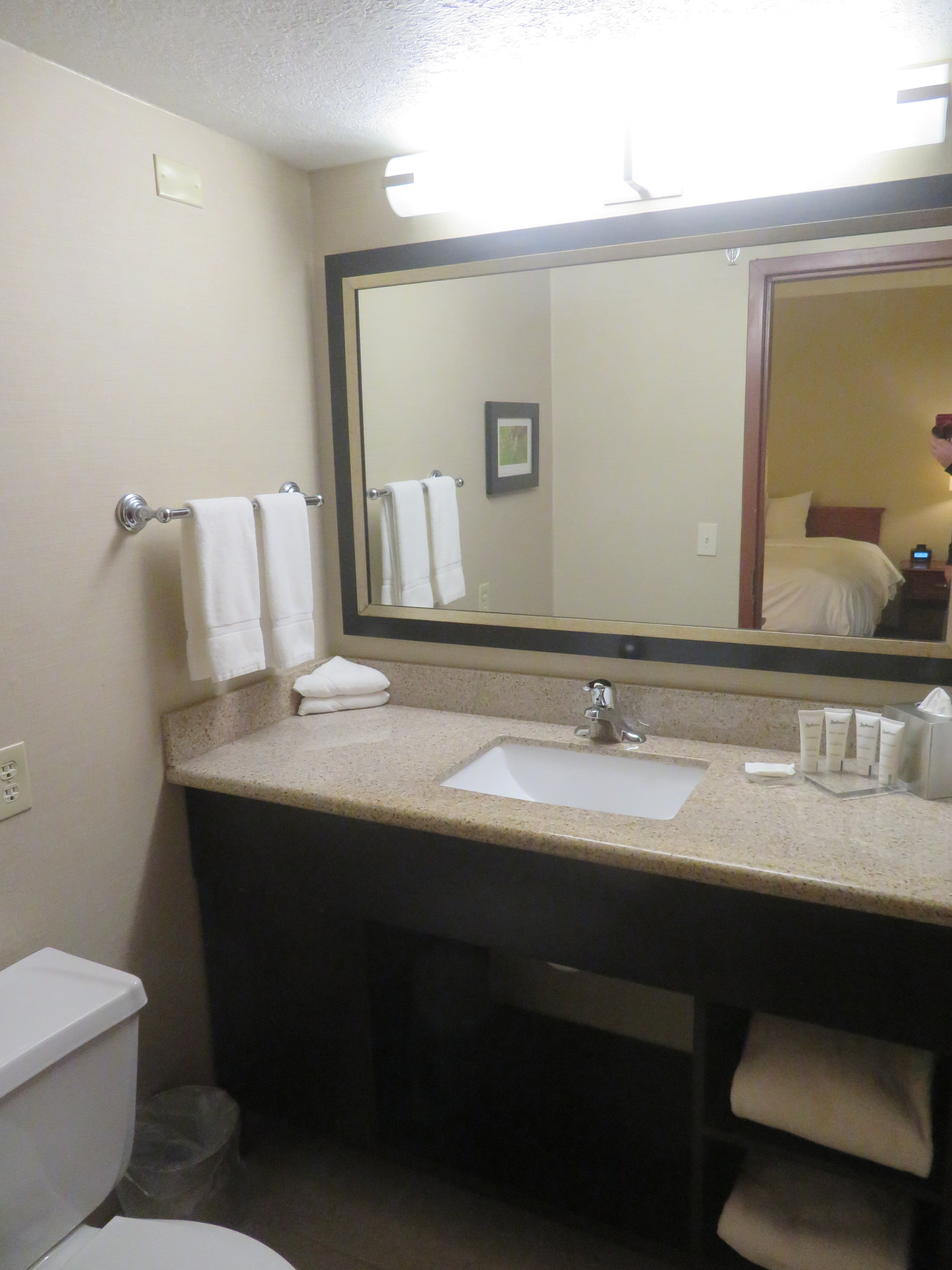 Radisson Hotel Bismarck-浴室