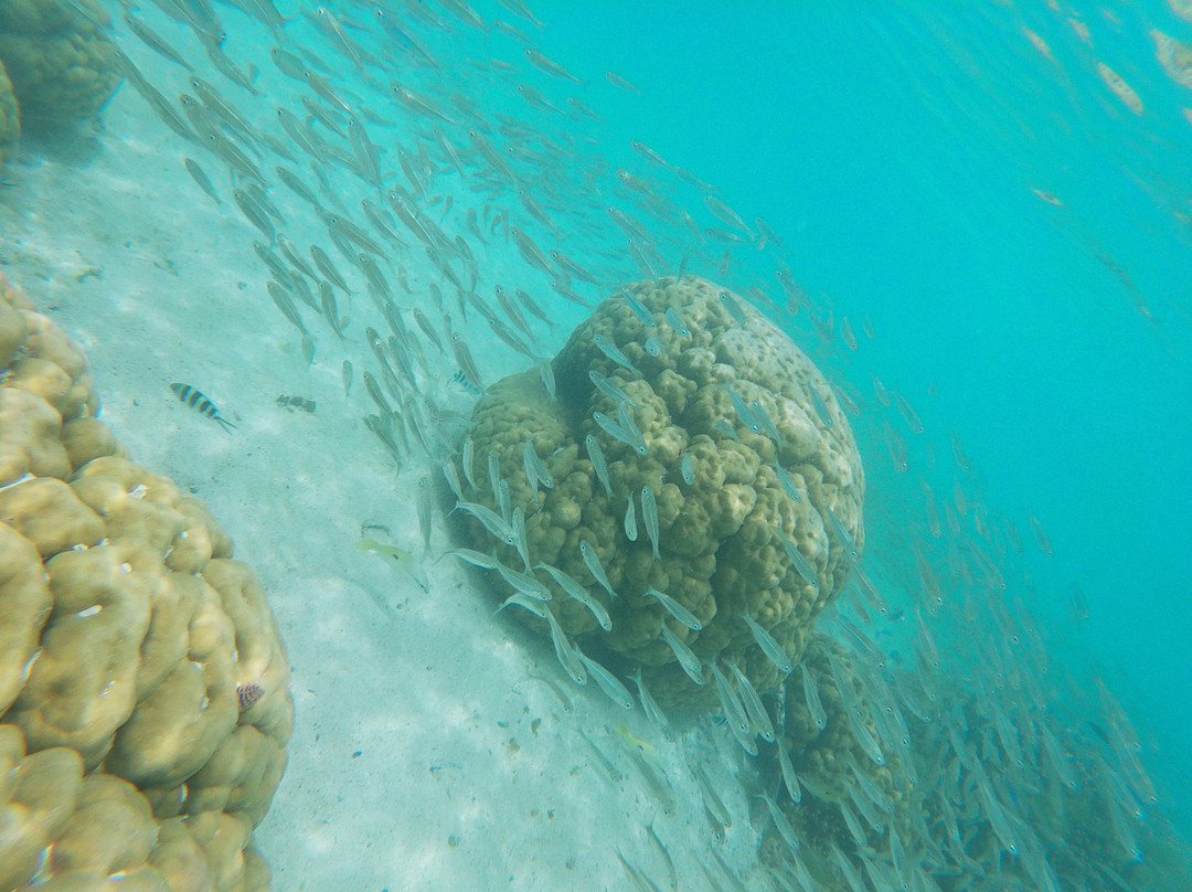 Oriana Nautique-Ile Des Pins必去景点