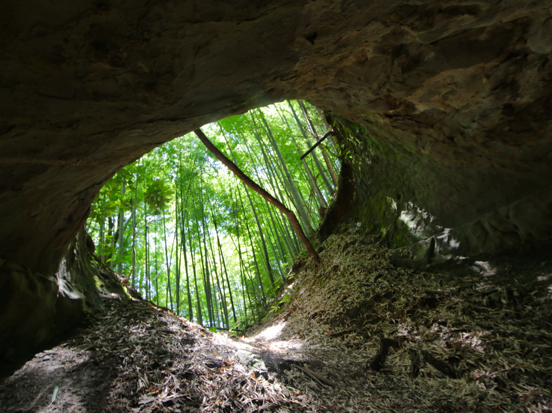 Suwa Shrine-睦泽町必去景点