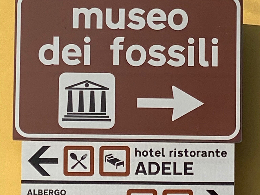 Museo dei Fossili di Bolca - Verona景点图片
