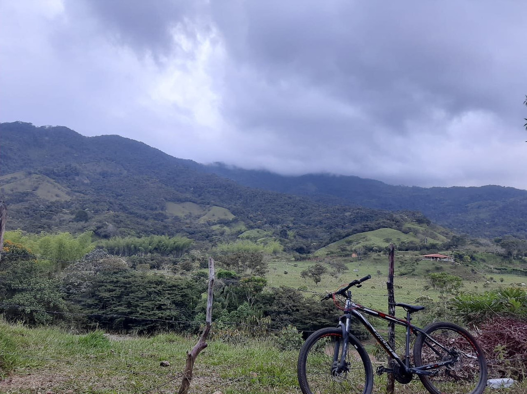 Bicycle Adventure San Rafael景点图片