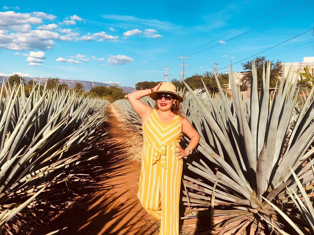 Destiladora La Rienda-特基拉必去景点