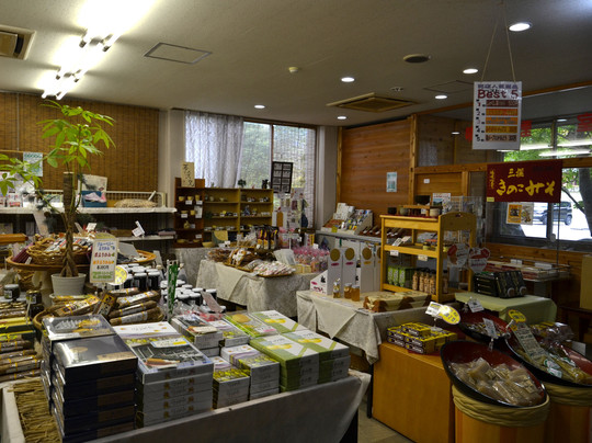 Kokuminsyukusya Ryokamiso主图