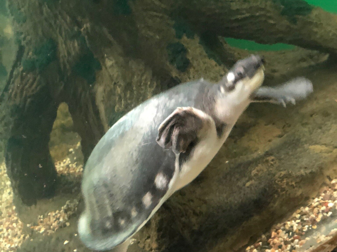 Tashkent Zoo-塔什干必去景点