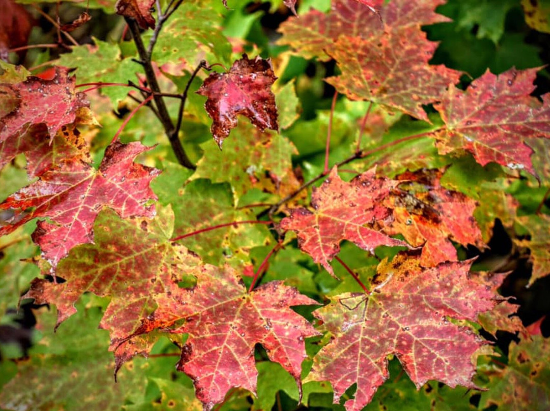 Lynde Shores Conservation Area-Whitby必去景点