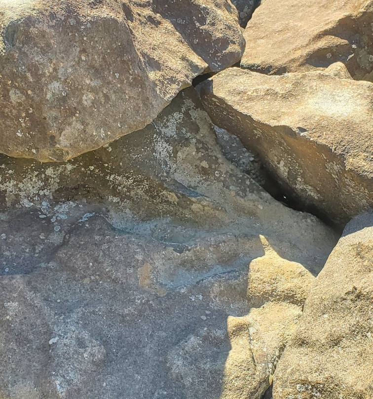 Ringing Rocks County Park景点图片