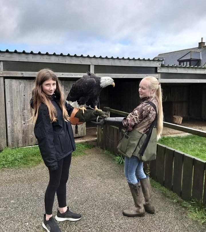 North East Falconry Centre景点图片