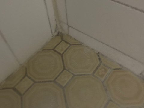 谷中巴拉瑞特酒店主图