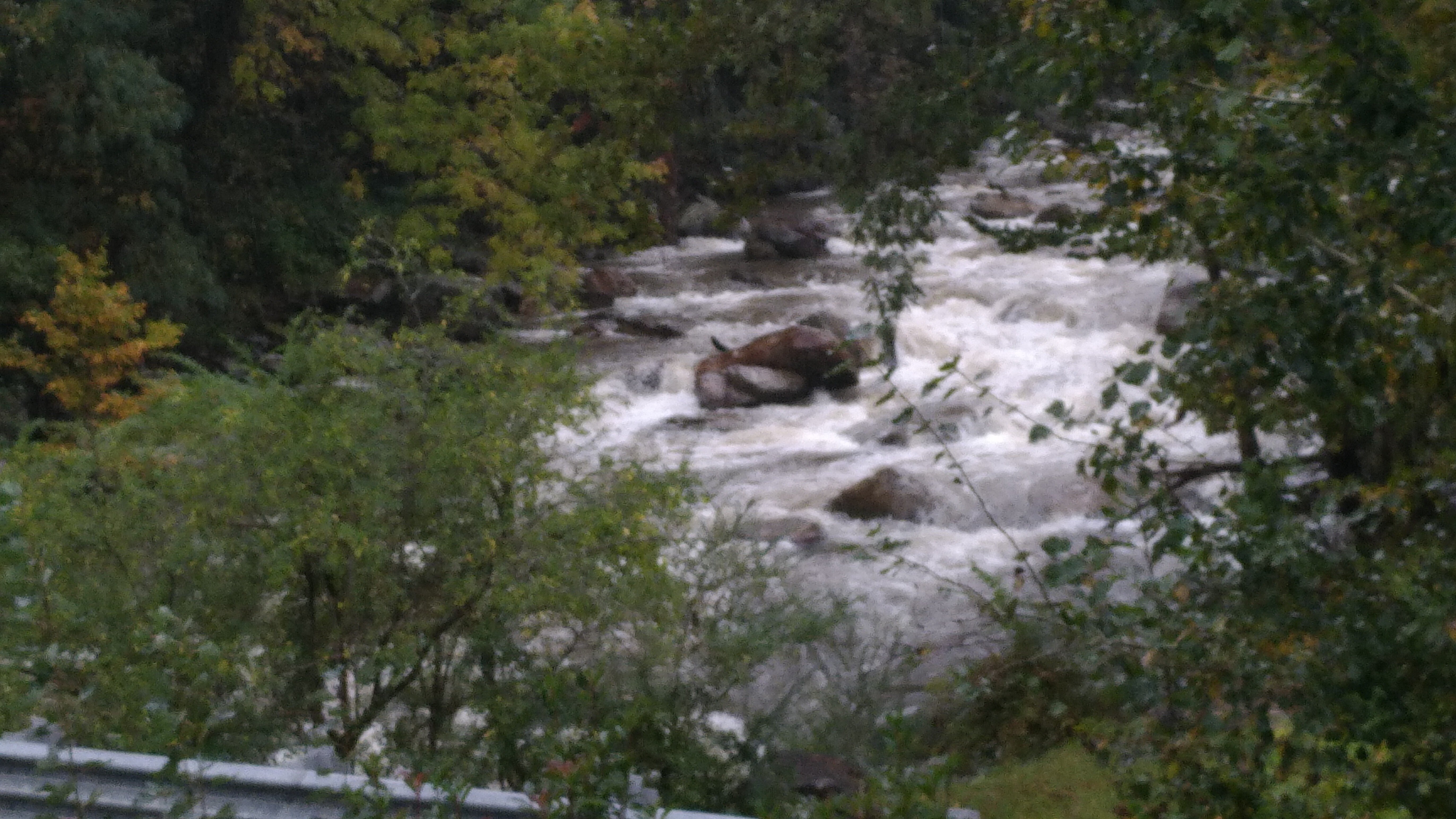 Broad River Inn-酒店景观
