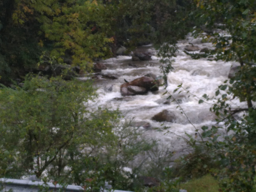 Broad River Inn主图