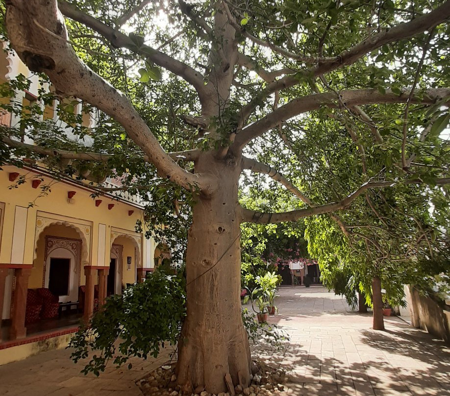 Bassi Fort Palace主图