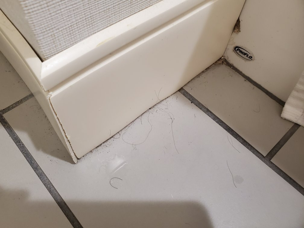 Fairfield by Marriott Inn & Suites St. Joseph Stevensville主图