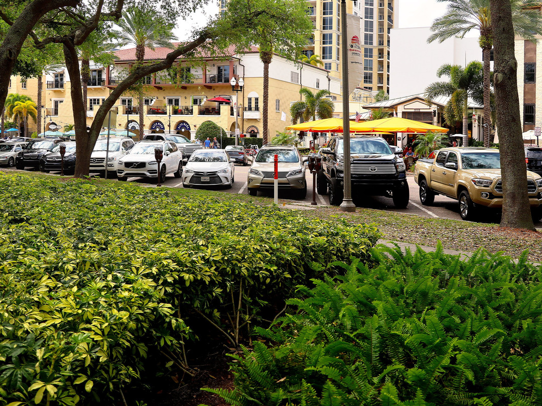 North Straub Park-圣彼德斯堡必去景点