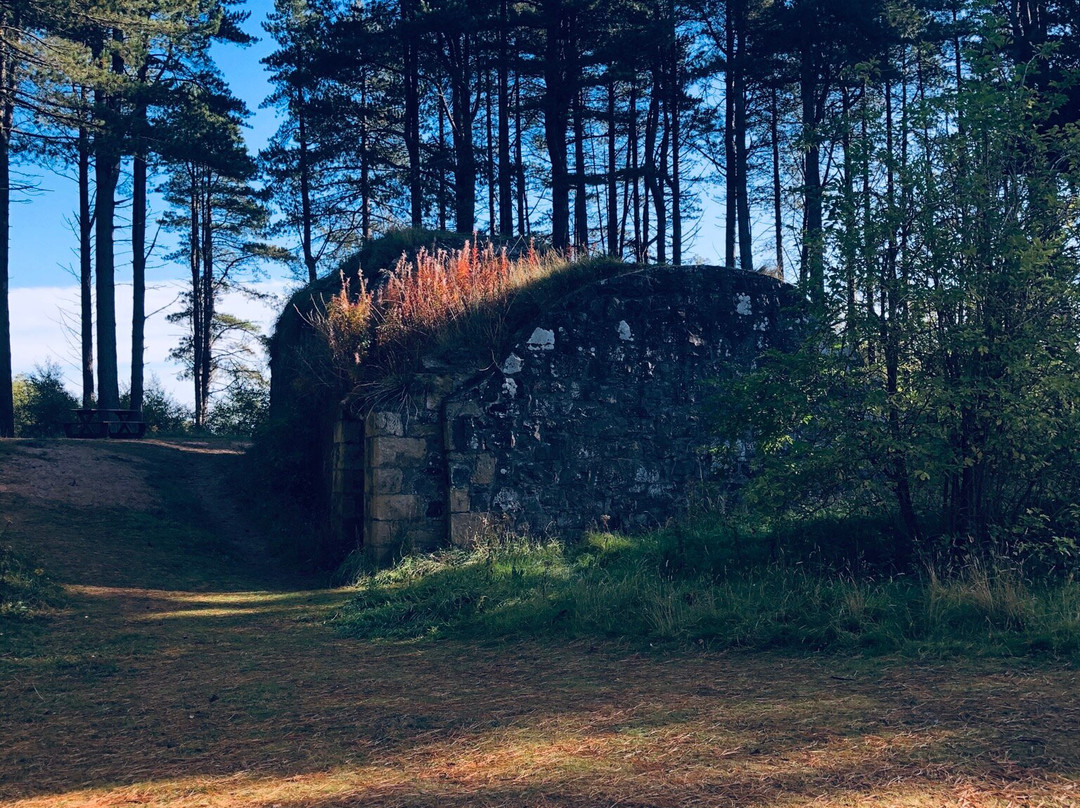 Tentsmuir Forest-Tayport必去景点