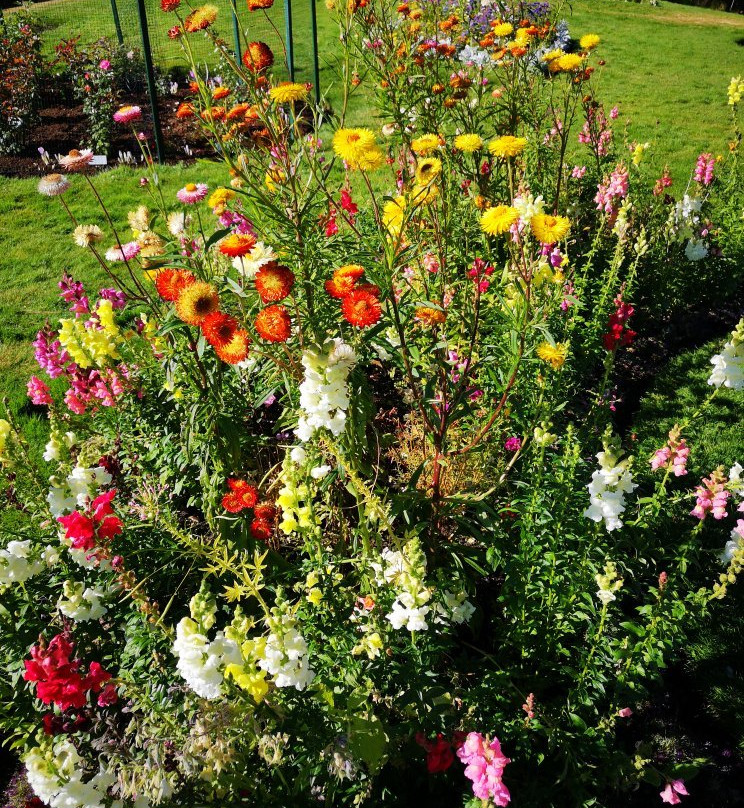 Cominco Gardens景点图片