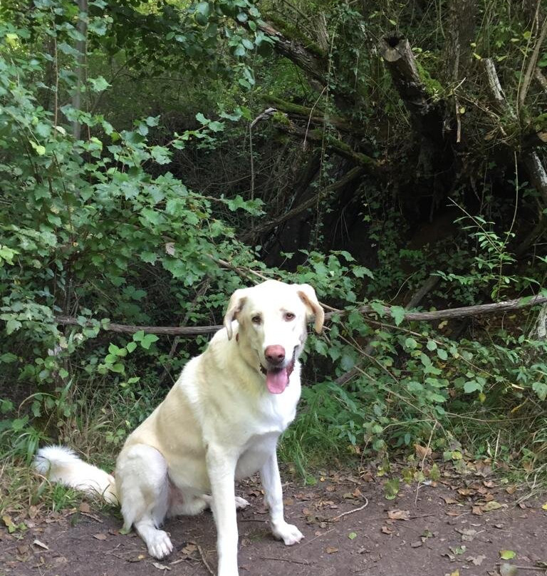 La Senda de los Pescadores-Cuellar必去景点