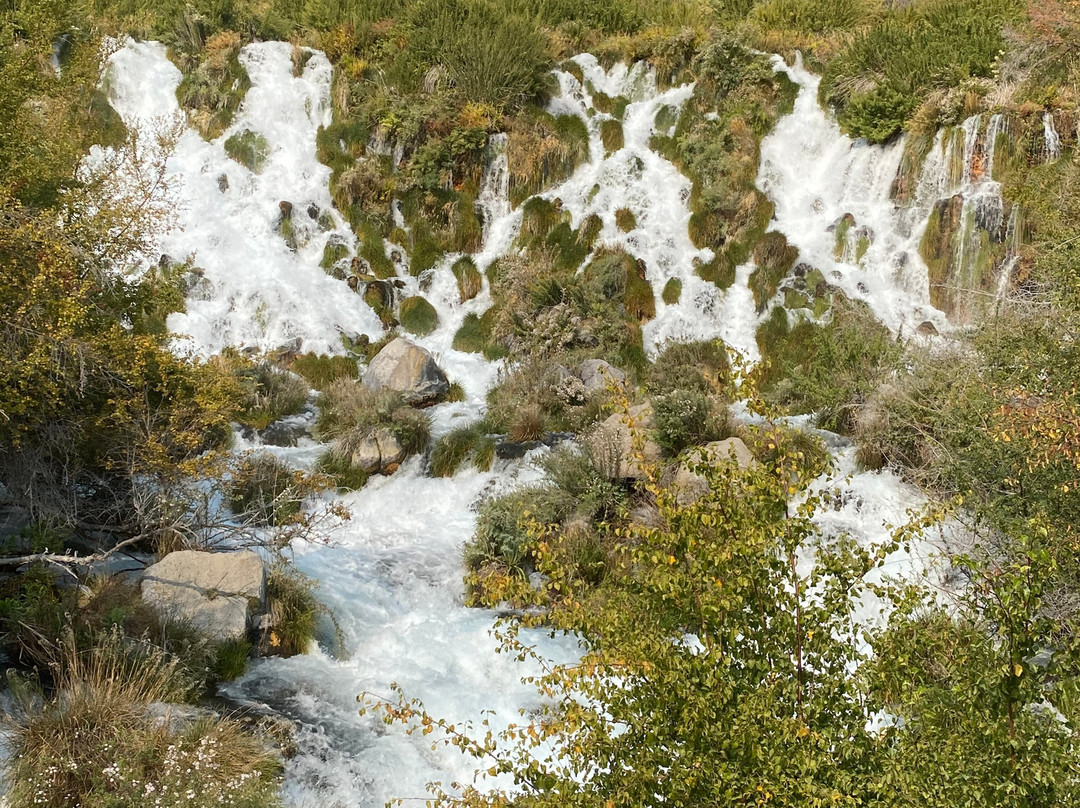 Niagara Springs Fish Hatchery-Wendell必去景点