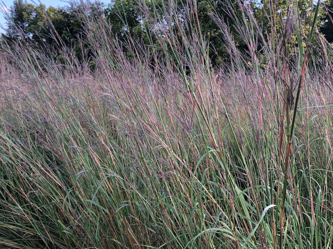 Prophetstown State Park-Battle Ground必去景点
