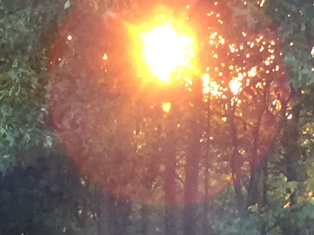 Fort Mountain Stables-Chatsworth必去景点