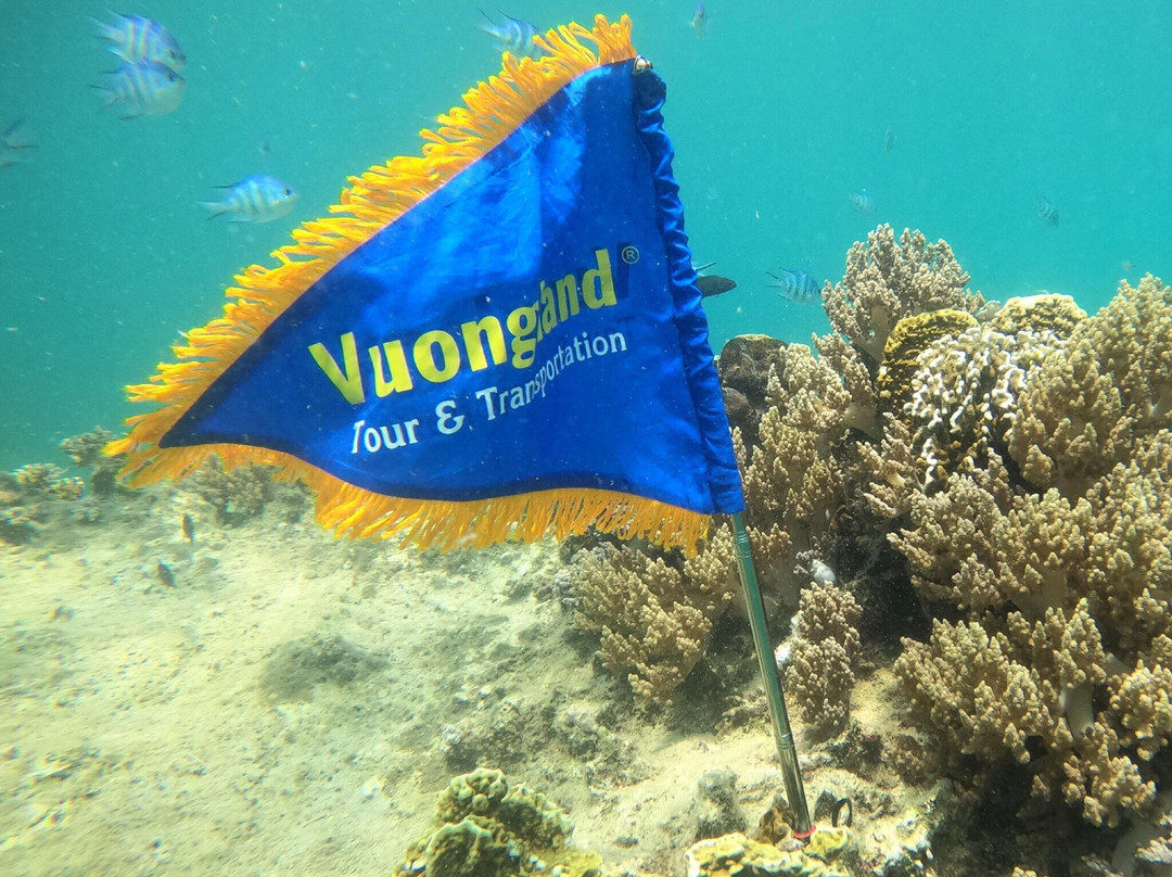 黑岛-芽庄必去景点