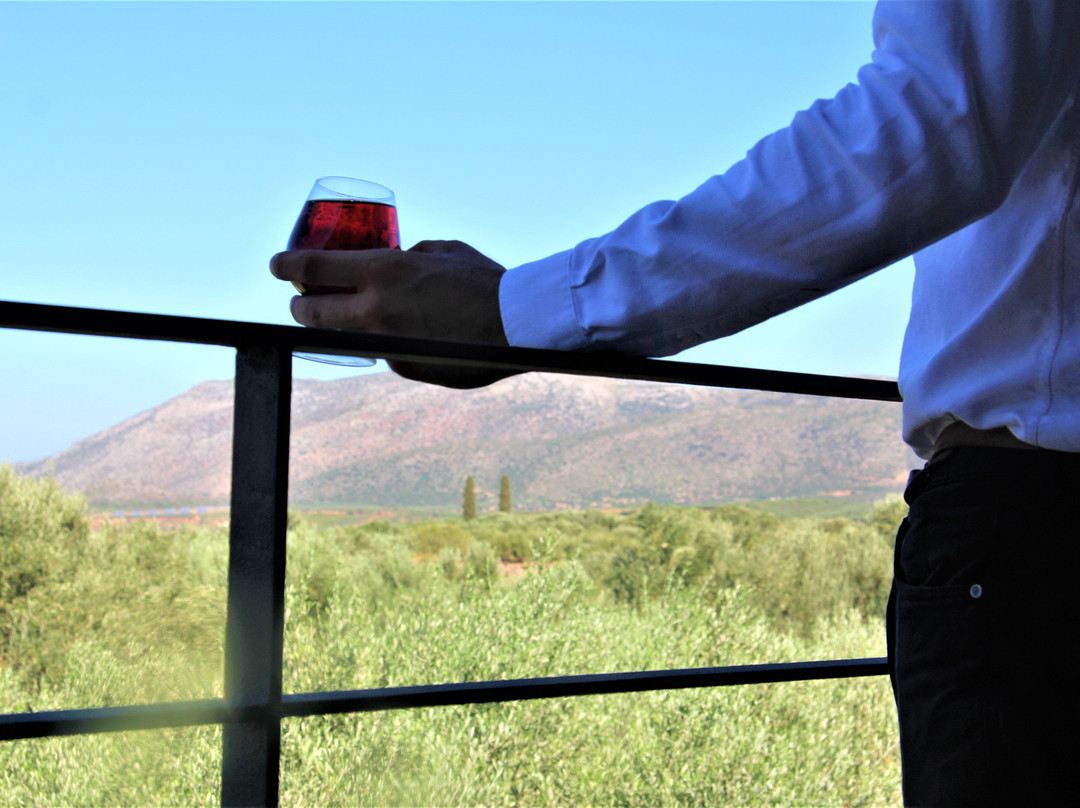 Liotrivi Boutique Hotel & Historical Mansion主图