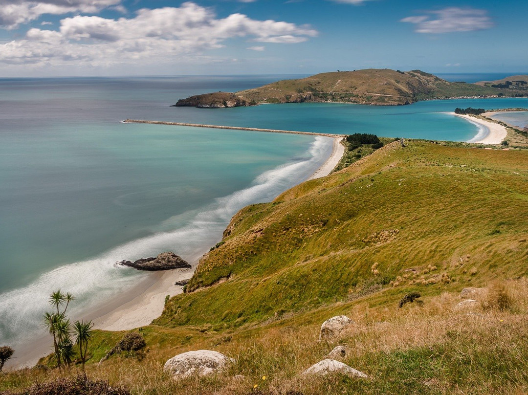 Excursions guidées à Dunedin, atelier photo et séjours thématiques en NZ-但尼丁必去景点