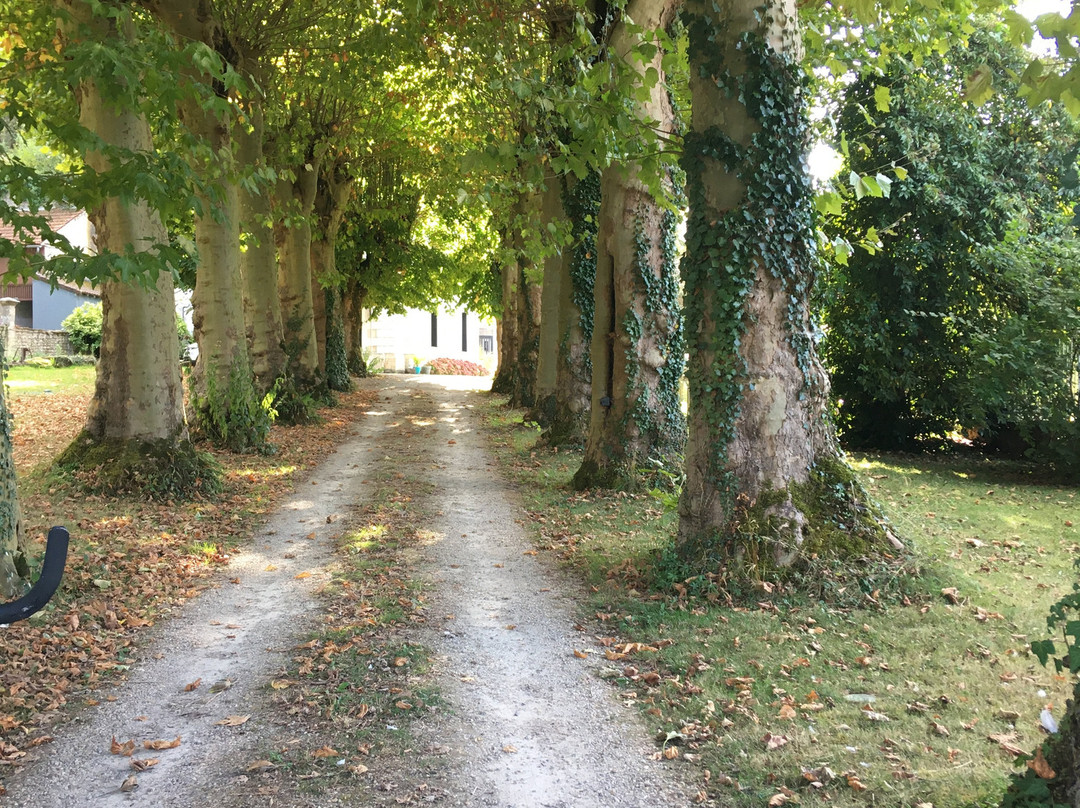 Le Chateau de la Barre主图