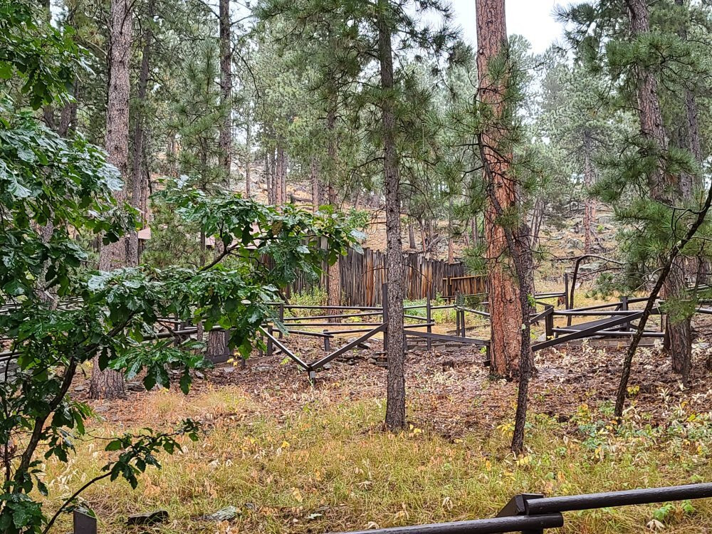 Cosmos Mystery Area-拉皮德城必去景点