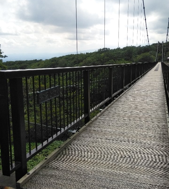 Tsutsuji Suspension Bridge-那须郡必去景点