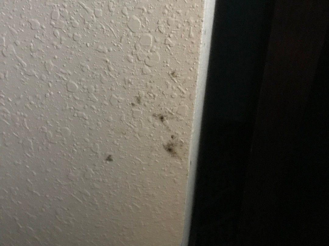 Holiday Inn Express & Suites Havelock Nw-new Bern By IHG主图