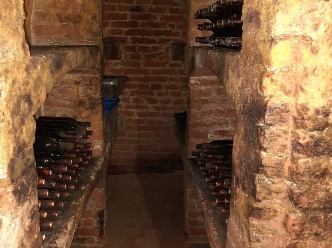 Cantina Del Glicine-Neive必去景点