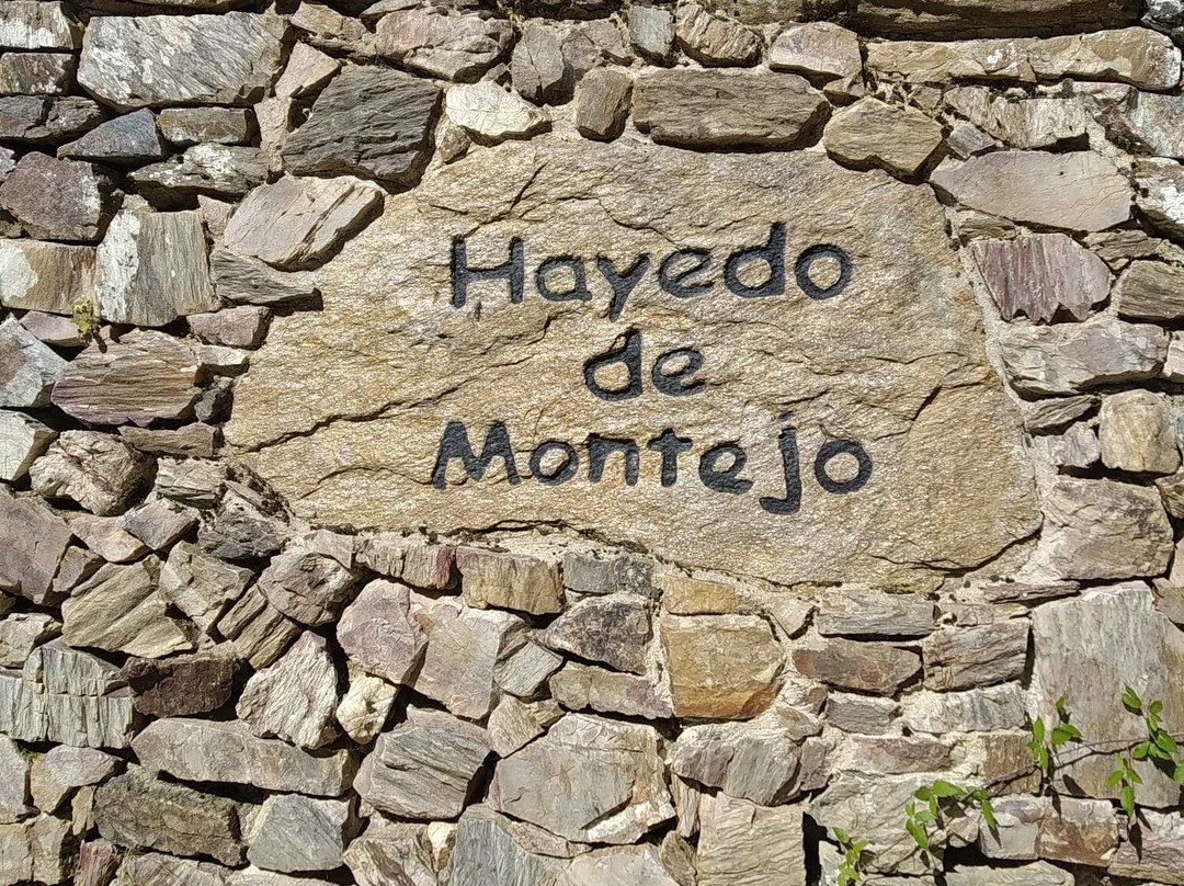 Hayedo de Montejo景点图片