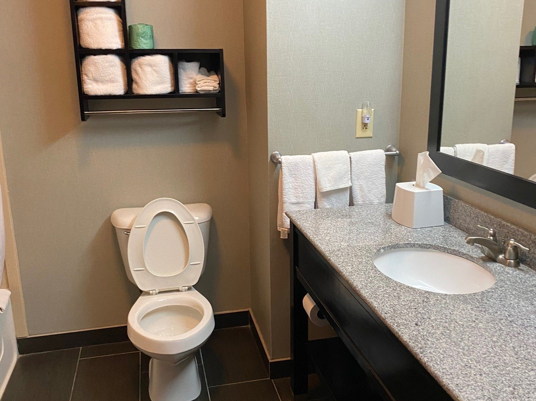Hampton Inn Foley, Al主图