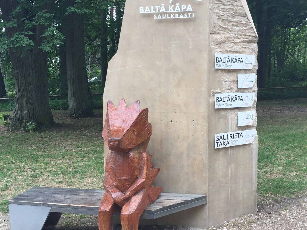 Saulkrasti Beach-Saulkrasti必去景点