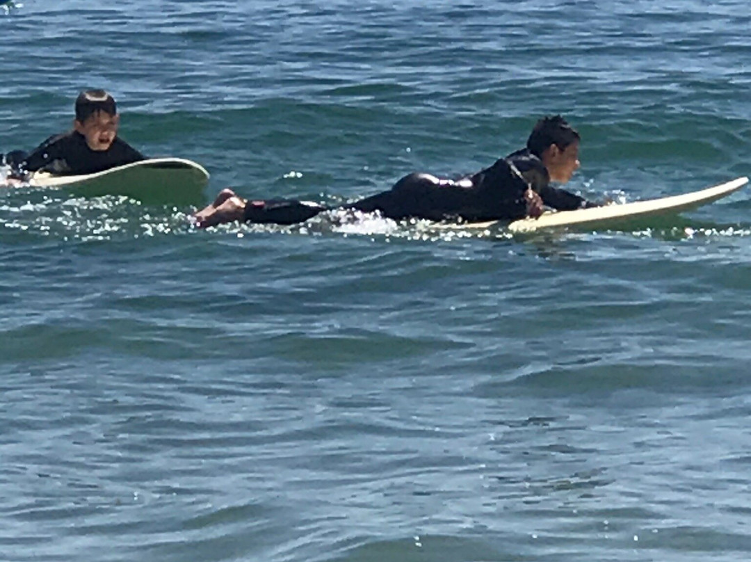 Surf's Up Portugal景点图片