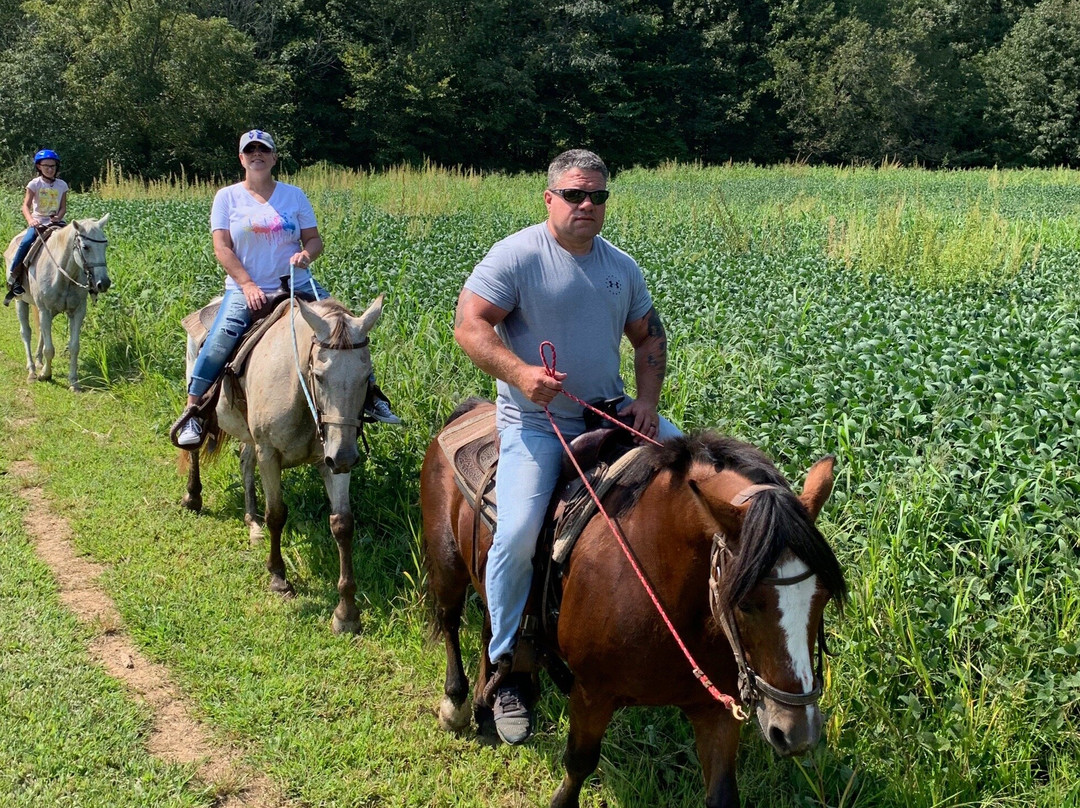 Santa's Stables-圣克劳斯必去景点