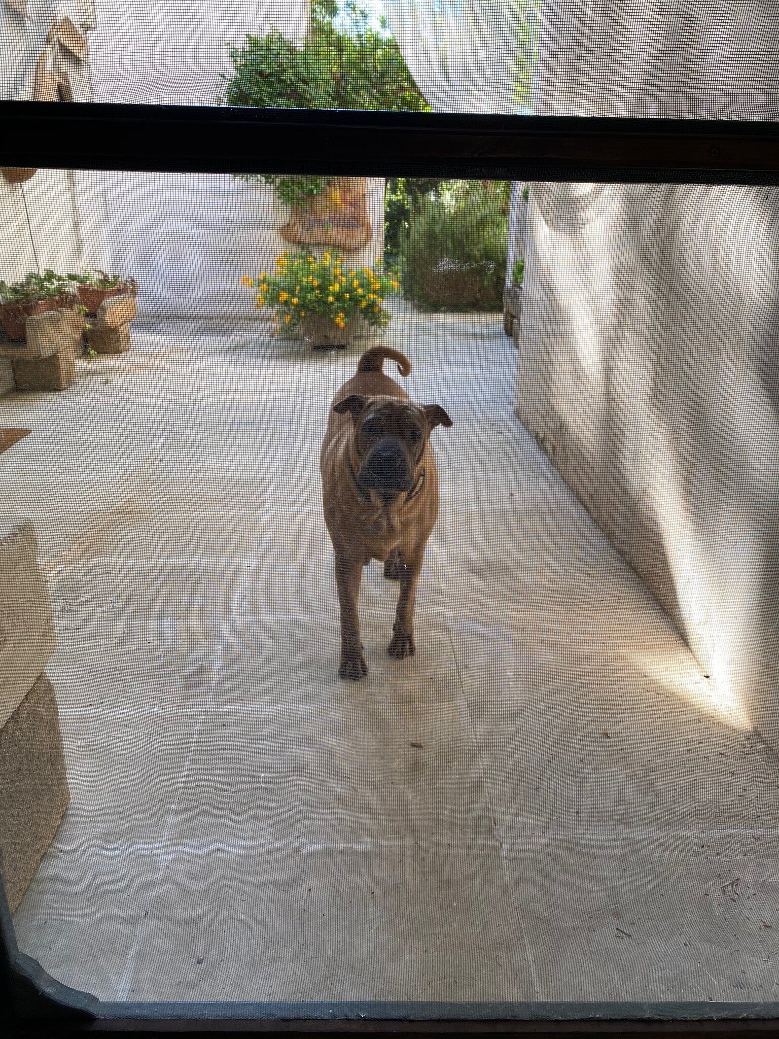 Giardino Nascosto-官方