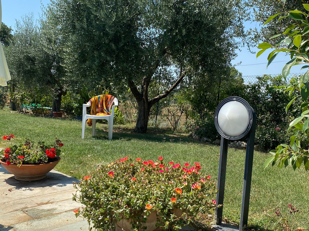 Il Giardino dei Glicini B&B主图