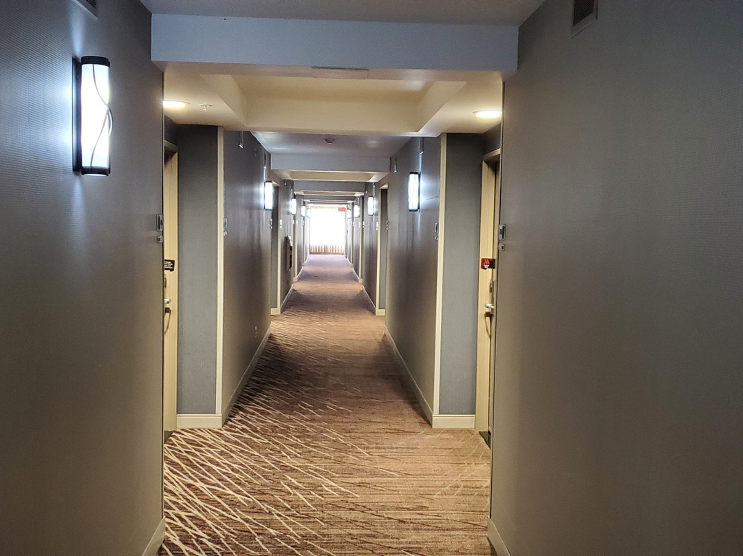 Visalia Marriott at the Convention Center主图