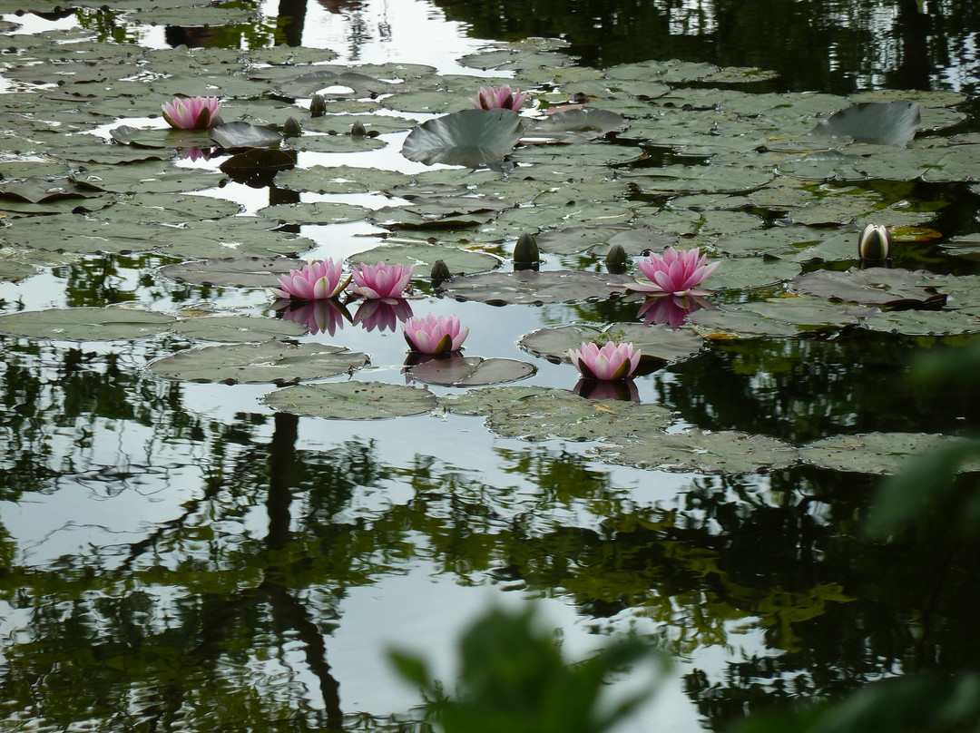 Oatlands Historic House & Gardens-Leesburg必去景点