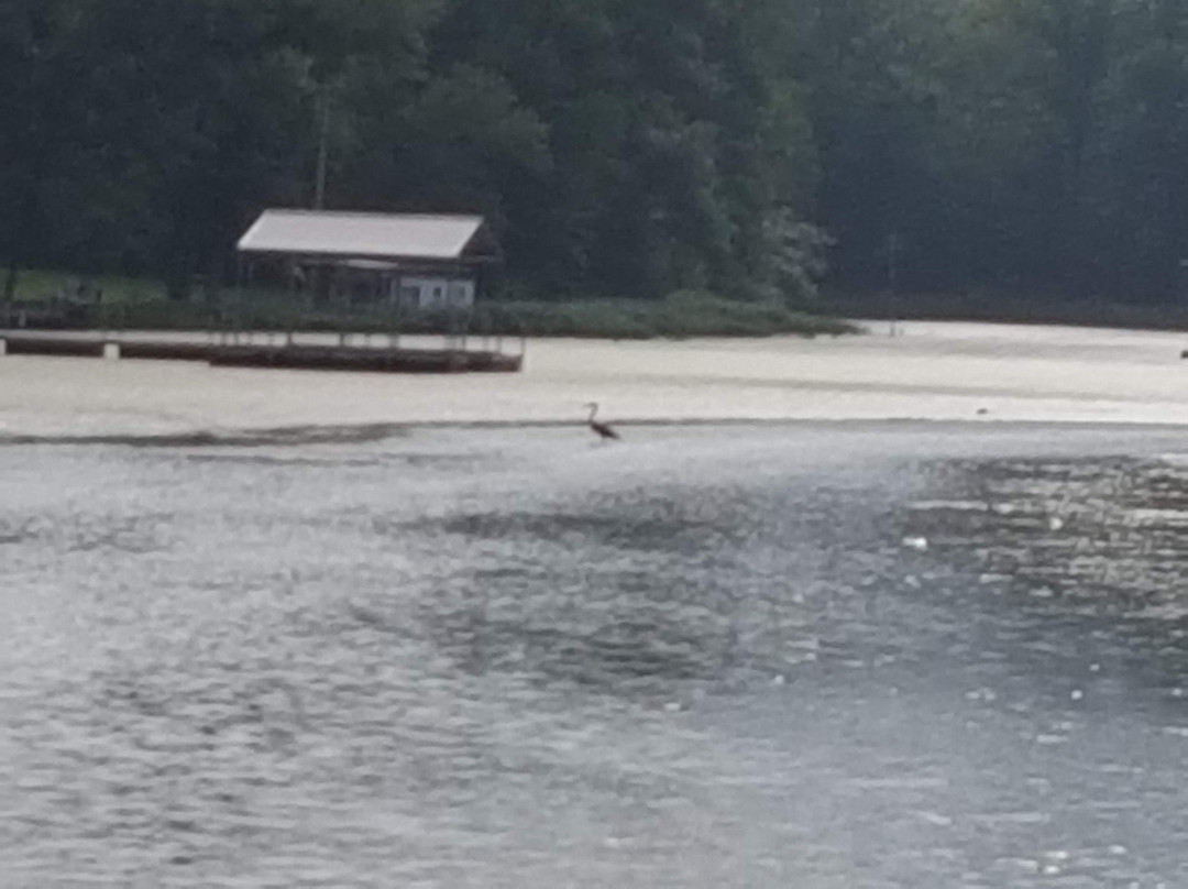 Canoe Kayak Chattanooga-Whitwell必去景点