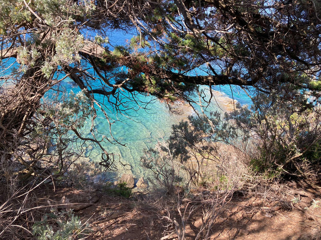 Cala San Quirico景点图片