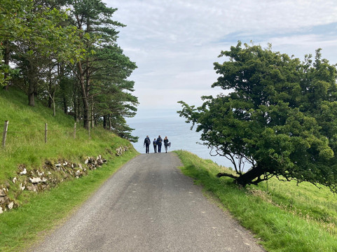 The Inside Trek-贝尔法斯特必去景点