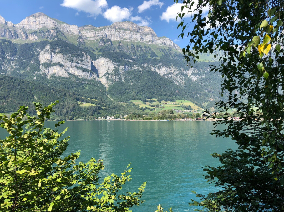Walensee-Walenstadt必去景点