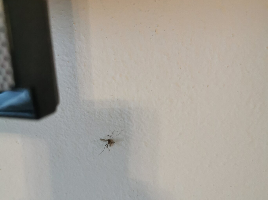 Arthotel Ingolstadt主图