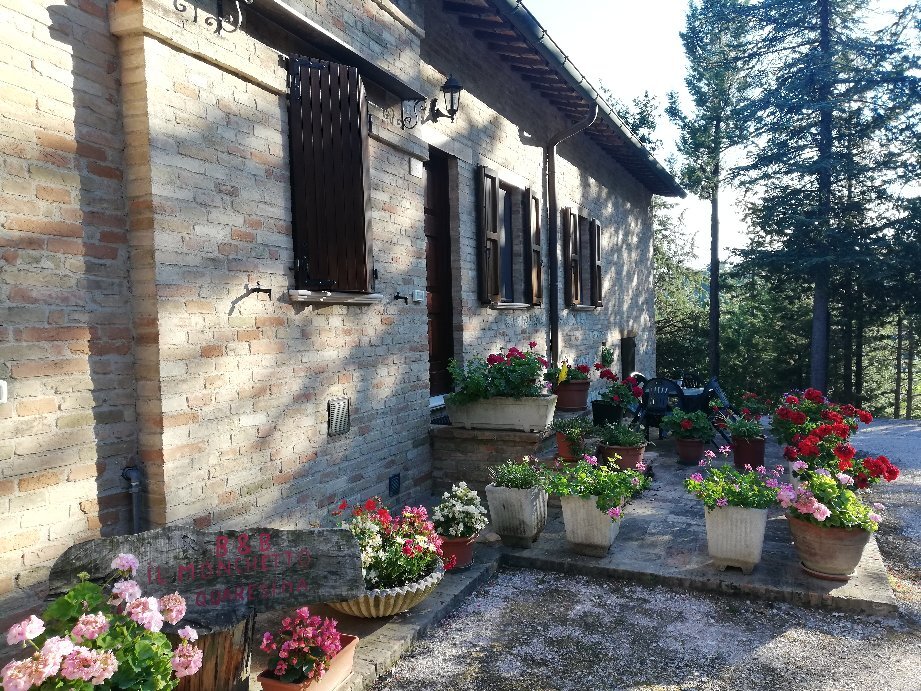 B&B Il Monchetto-官方