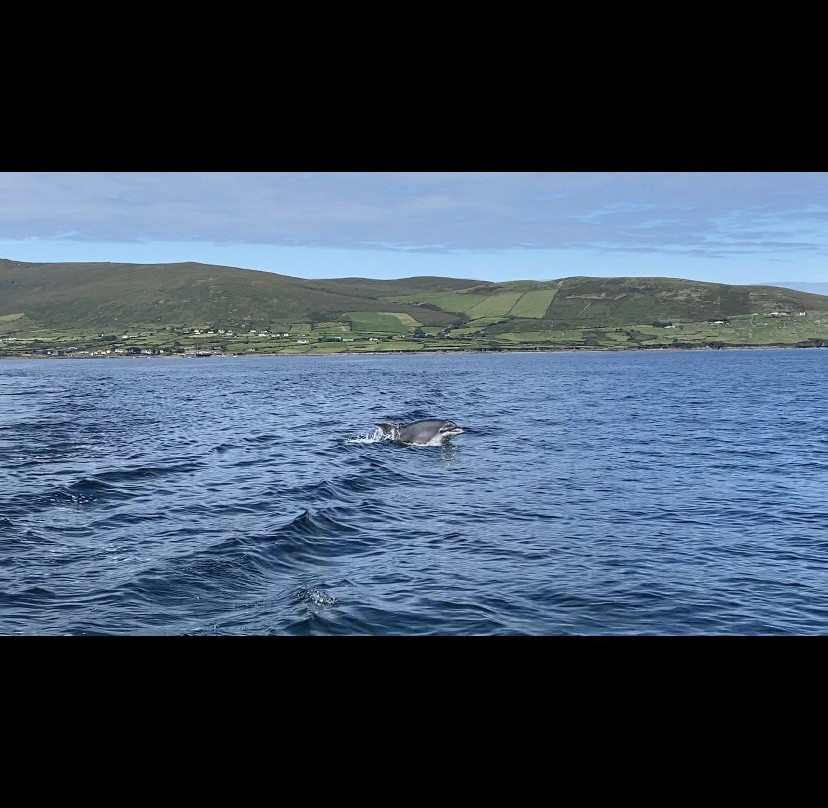 Splash Sports Watersports Centre-Castlegregory必去景点