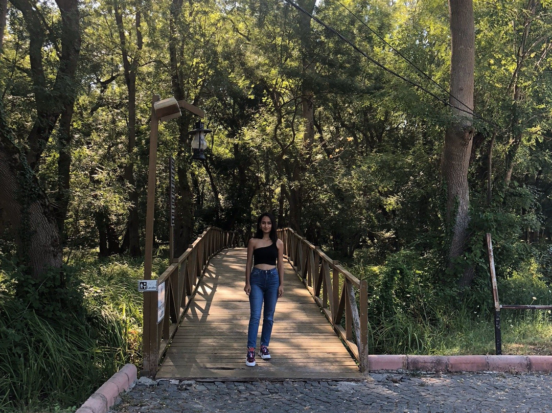 Cakirlar Korusu-Cakirlar Yali必去景点