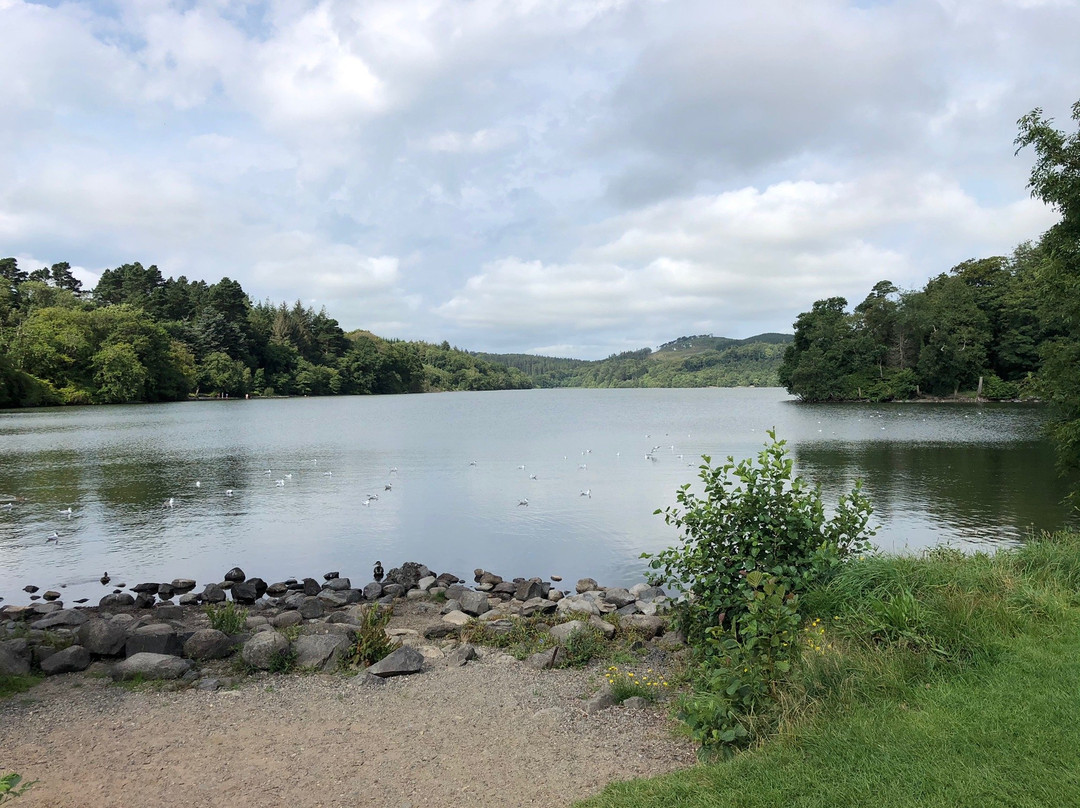 Castlewellan Forest Park景点图片
